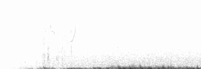 Greenish Warbler - ML586539811