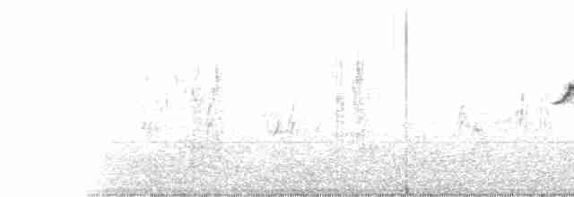 Common Rosefinch - ML586601221