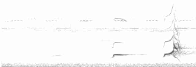nordkrattvaktel (virginianus gr.) - ML586613431