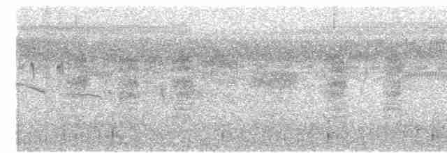 Серогрудый трескун - ML586630821