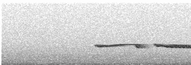 Höhennachtschwalbe [ruwenzorii-Gruppe] - ML586643961
