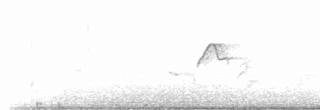 Western Flycatcher (Cordilleran) - ML586652361