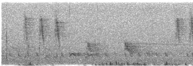 Füllebornnektarvogel - ML586654201