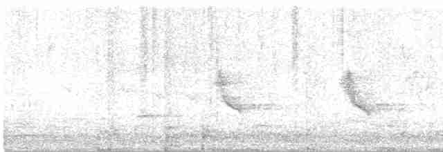 Melodious Blackbird - ML586654761