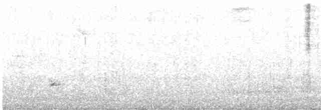 Пересмішник сірий - ML586676781