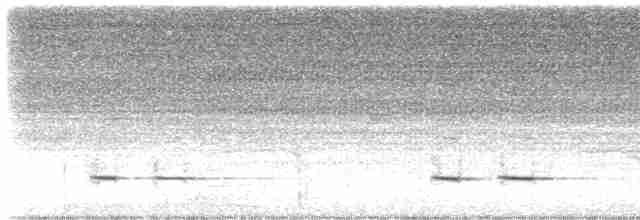 Kestane Kanatlı Tepeli Guguk - ML586783151