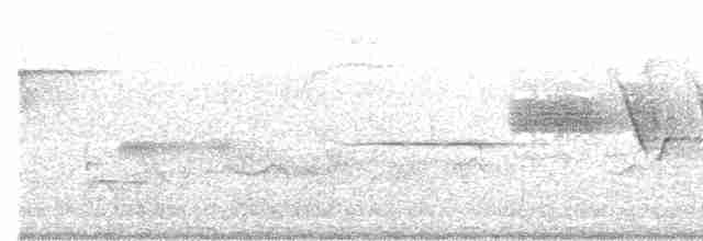 Porsuk Serçesi (pugetensis) - ML586805581