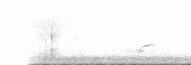 Spotless Crake - ML586845821