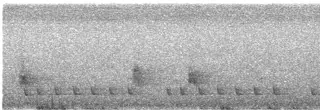 Торо східний (підвид alfredi) - ML586861231