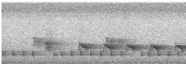 Торо східний (підвид alfredi) - ML586861391