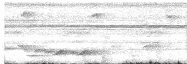 Дзьобочуб смарагдовий - ML586871151