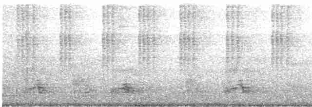 kolibřík lesklobřichý - ML586871231