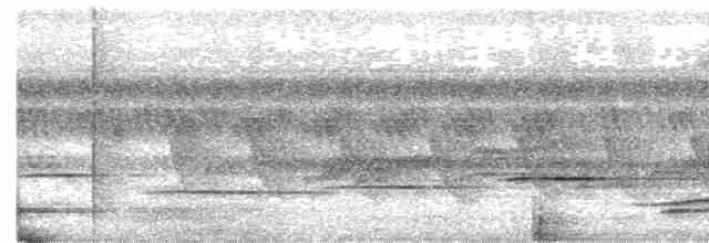 Tordina Coronioscura - ML586872341