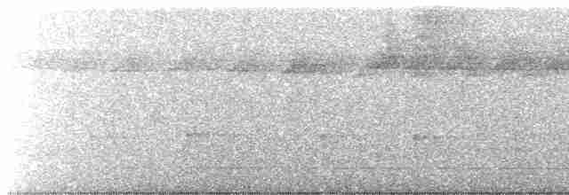 Spot-winged Antshrike - ML586894561