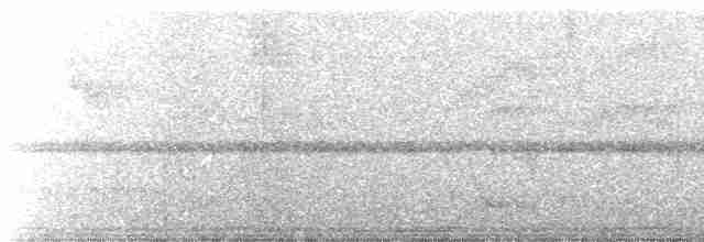 Southern White-fringed Antwren - ML586895381