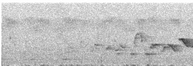 Güneyli Sarı Gözlükçü - ML586896361