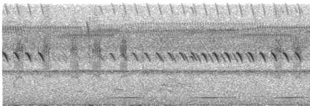 chřástalík kaštanovoprsý - ML586901541