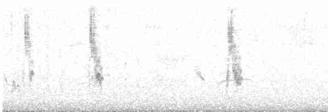 Красноголовый сорокопут - ML586902061