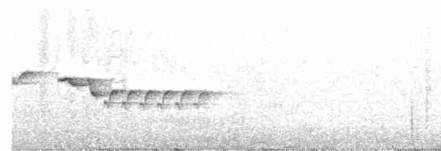Mosquitero de Anteojos - ML586902161