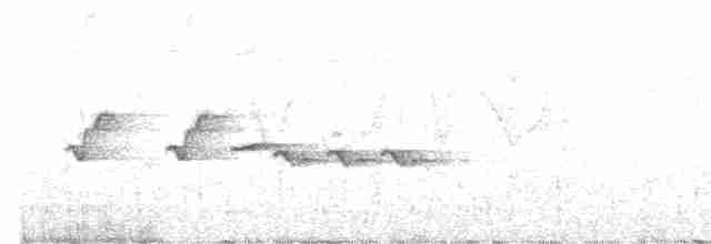 Скриточуб гімалайський - ML586902171