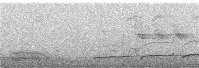 Eurasian Curlew - ML58690261
