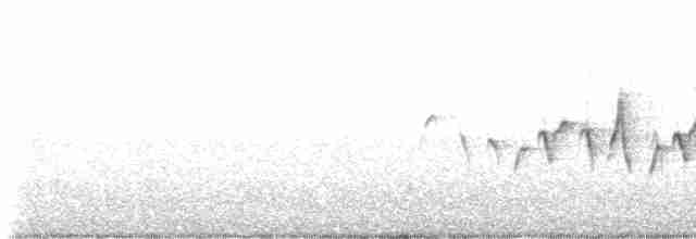 Common Yellowthroat - ML586919481