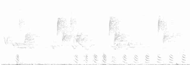 jeřábek kanadský - ML586924691