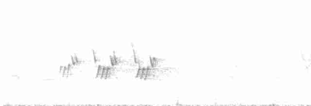 Черногорлая хвойница - ML586925111