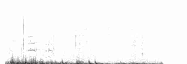 シロハラトウゾクカモメ - ML586943071