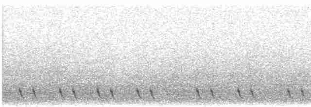 Red-necked Nightjar - ML586943471