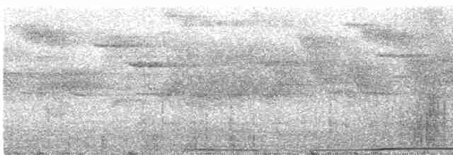 Mor Japon Güvercini - ML586944591