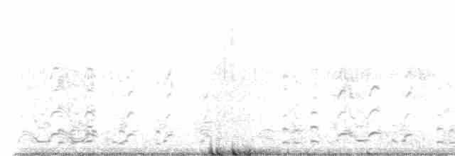 אווז לבן-מצח (מערבי) - ML586948681