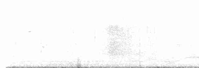 Белошейная гагара - ML586949771