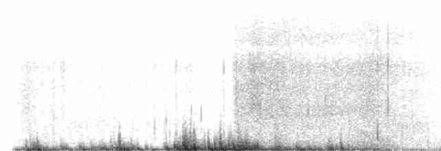 Arctic Tern - ML586949951