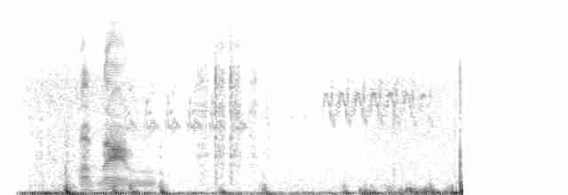 Куріпка біла [група lagopus] - ML586951081