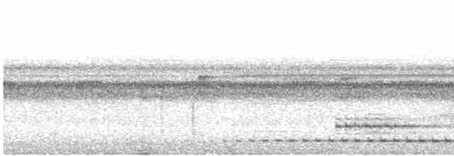 Рораймская совка (roraimae) - ML586963281