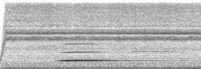 Gray Tinamou - ML58701