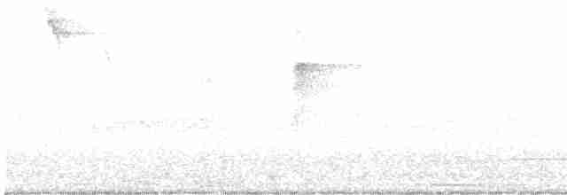 Тиран-крихітка темноголовий - ML587030581