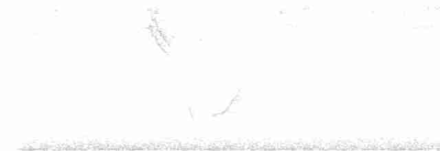Black-eared Hemispingus (Black-eared) - ML587037801