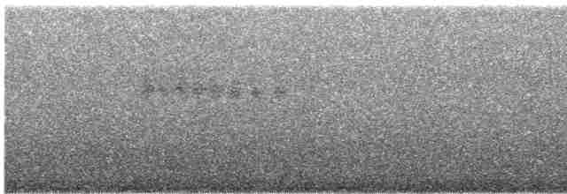 Mirlo Acuático Norteamericano - ML587043101