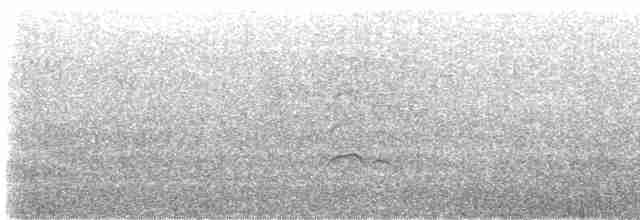 Antillenseeschwalbe - ML587074971
