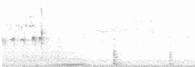 Kuzeyli Sert Kanatlı Kırlangıç - ML587093301