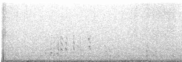 Белохвостая куропатка - ML587121861