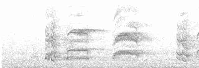 Белохвостая куропатка - ML587121871