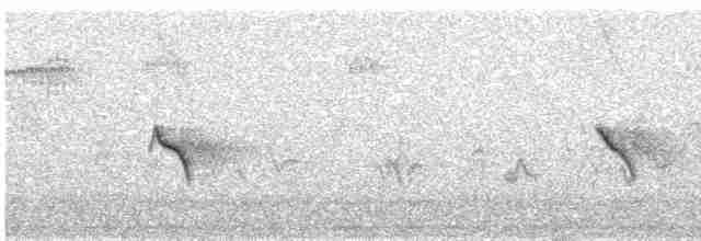 Evening Grosbeak (type 1) - ML587124891