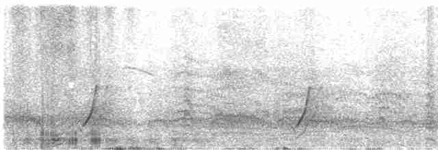 斑胸秧雞 - ML587141931