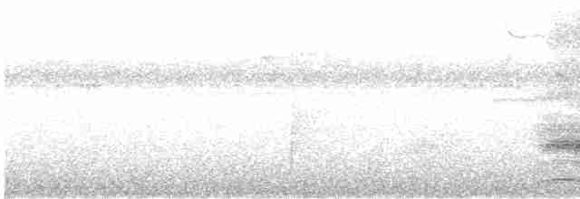Андский скальный петушок - ML587149521