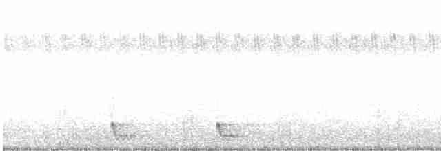 Large-tailed Nightjar - ML587177391
