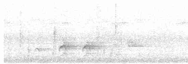 Torresian Kingfisher - ML587197551