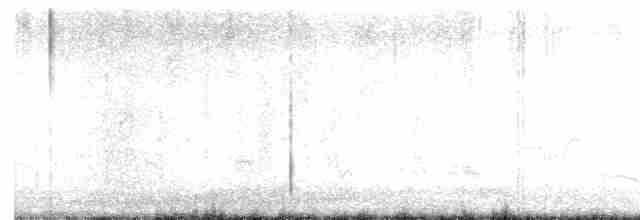 Кактусовый пересмешник - ML587201121